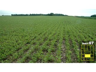 Property photo 42 - Land Auction 1035 Acres In 16 tracts - Farm Land - Sullivan Co. Indiana & Clark Co., Illinois